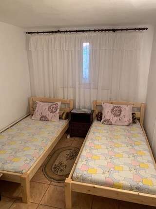 Гостевой дом Casa Pitaru Калафат Двухместный номер Делюкс с 2 отдельными кроватями-1